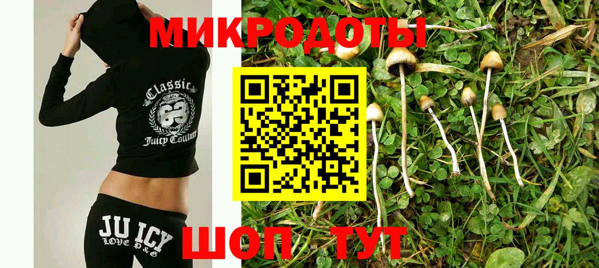 Псилоцибиновые грибы GOLDEN TEACHER  Вход с VPN  Майский 